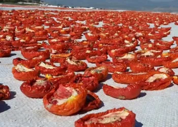 Başkan Okumuş, Türkoğlu’nun lezzetlerini paylaştı