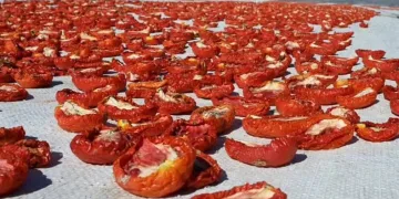 Başkan Okumuş, Türkoğlu’nun lezzetlerini paylaştı