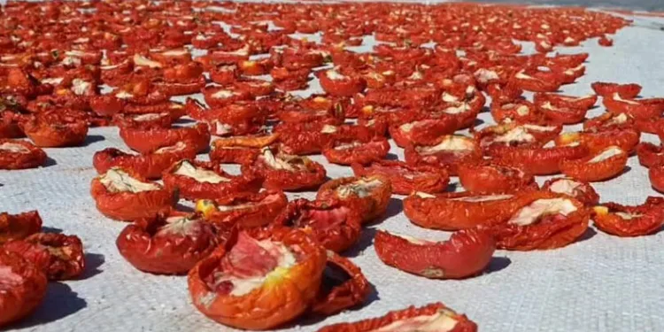 Başkan Okumuş, Türkoğlu’nun lezzetlerini paylaştı