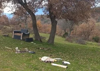 Mahalle sakinleri piknikçilerden dertli