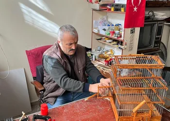 Hobisi mesleği oldu