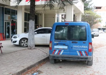 Kestiği ağaç sonu oldu
