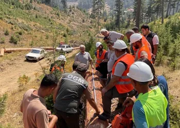 Ormandan 2.3 milyar TL gelir elde edildi