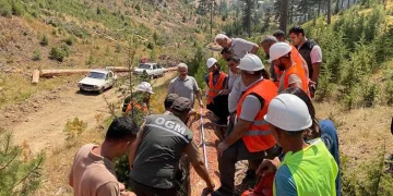 Ormandan 2.3 milyar TL gelir elde edildi