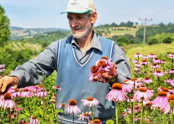 İnegöl’de 2023 tarım yılı oldu