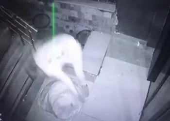 Hasarlı binadaki hırsızlık anları kameraya yansıdı