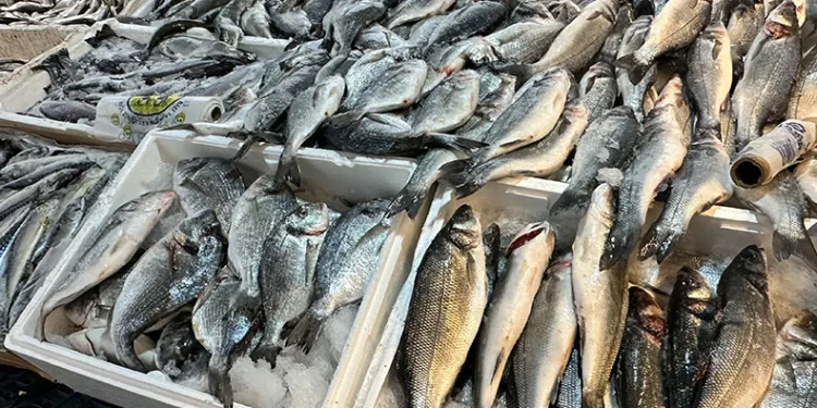 Balık tezgahlarına yoğun ilgi