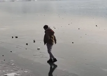 Çıldır Gölü misafirlerini ağırlamaya başladı