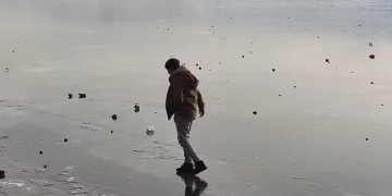 Çıldır Gölü misafirlerini ağırlamaya başladı