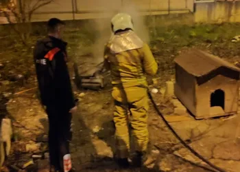 Bahçe yangınında “köpek” paniği