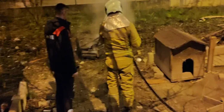 Bahçe yangınında “köpek” paniği