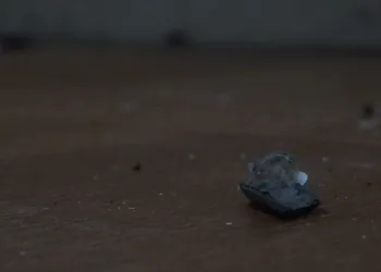 Bursa’da gençlerin torpil eğlencesinde faciadan dönüldü