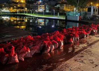 6 ton kaçak midye ele geçirildi