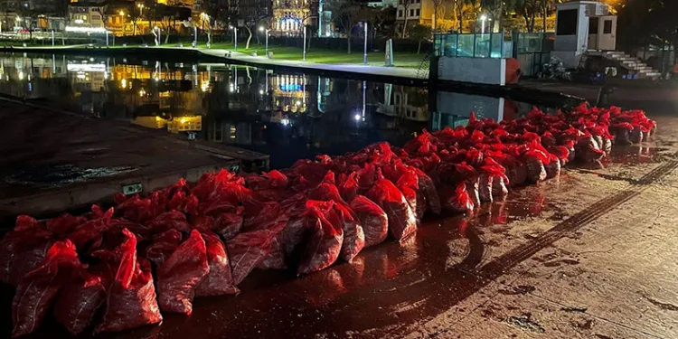 6 ton kaçak midye ele geçirildi