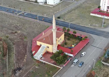 Kesilmeyen ağaç ilginç görüntü oluşturdu