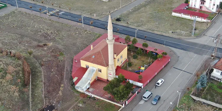 Kesilmeyen ağaç ilginç görüntü oluşturdu