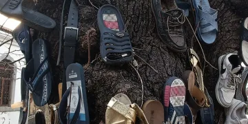 Ayakkabısı kaybolan bu ağaca koşuyor