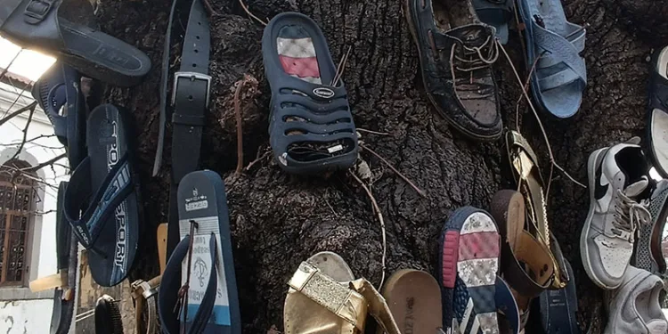 Ayakkabısı kaybolan bu ağaca koşuyor