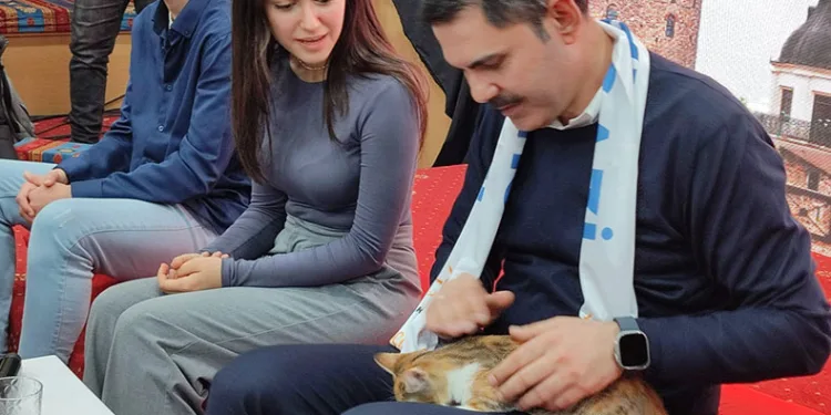 Murat Kurum’a kedi hediyesi