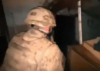Aydın’da 33 sokak satıcısı yakalandı