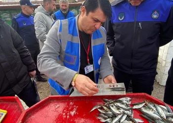 Zabıta ekipleri balık denetiminde