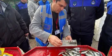 Zabıta ekipleri balık denetiminde