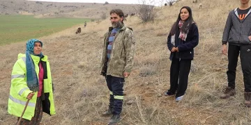 Çobanlık yaparken hayaline kavuştu