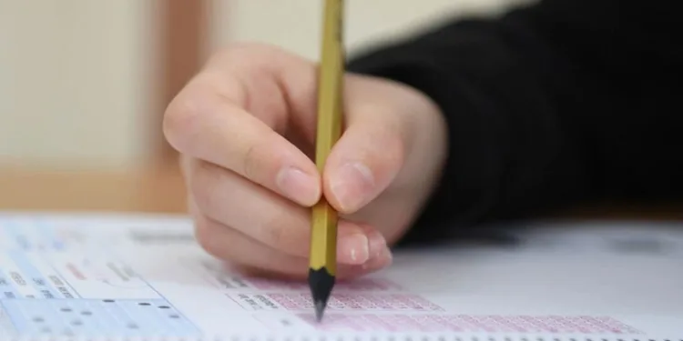 Yapay zeka çalışmalarına dil sınavı