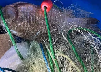 Pınarhisar’da kaçak balık avlayanlar yakalandı