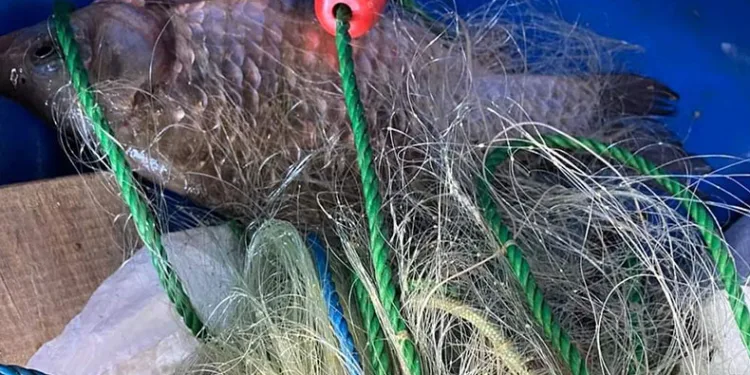 Pınarhisar’da kaçak balık avlayanlar yakalandı