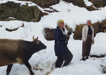 Kar yağışı nedeniyle kapanan köy yolları açılıyor