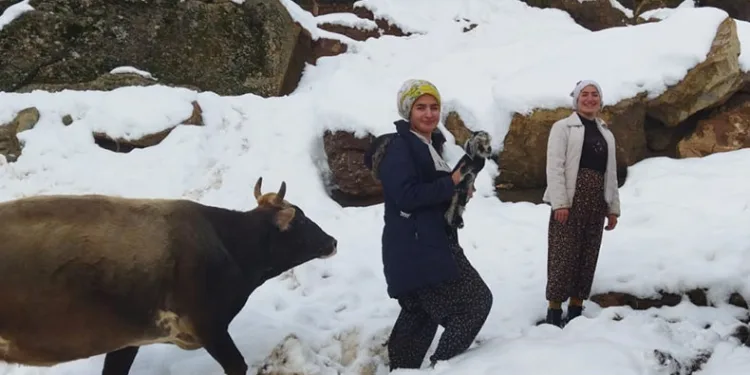 Kar yağışı nedeniyle kapanan köy yolları açılıyor
