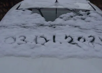Elazığ’a yeni yılın ilk karı düştü