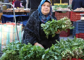 Sadece Ege pazarında bulunuyor