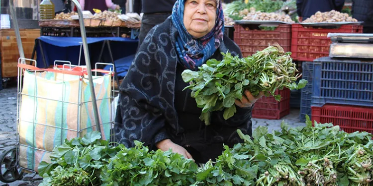 Sadece Ege pazarında bulunuyor
