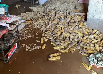 Şiddetli yağışın ardından arabalar, evler zarar gördü