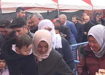 Erciş’te hamsi festivali