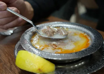 Doğal antibiyotik ve şifa deposu