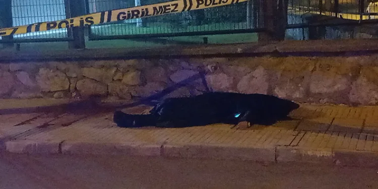 Yabancı uyruklu genç kaldırımda ölü bulundu