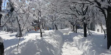 Bitlis’te 213 köy yolu ulaşıma açıldı