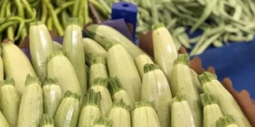 Fiyatı en çok artan ürün kabak oldu