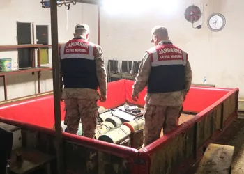 Horoz dövüşüne jandarma baskını