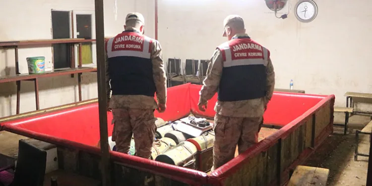 Horoz dövüşüne jandarma baskını