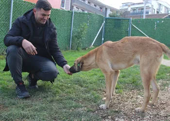 “Yürüyemez” dendi, 1,5 ayda ayağa kalktı