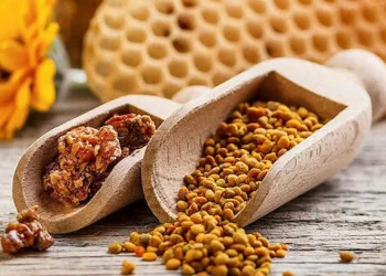 Şeker hastalığına karşı propolis tavsiyesi
