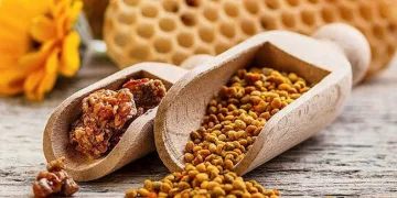 Şeker hastalığına karşı propolis tavsiyesi