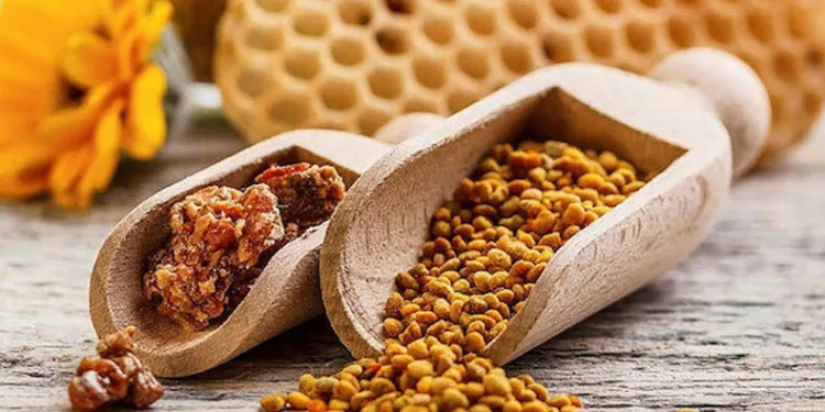 Şeker hastalığına karşı propolis tavsiyesi