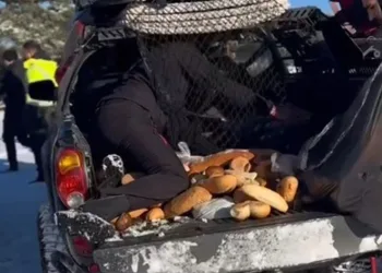 ATV tutkunları yaban hayvanlarını unutmadı