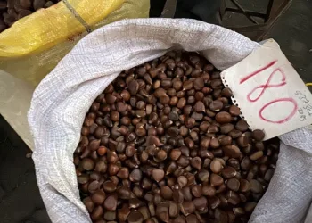 Kestane pişirmenin püf noktaları