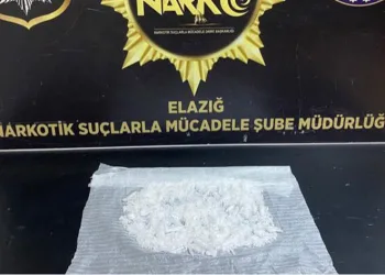 Uyuşturucuyla yakalanan şahıs tutuklandı